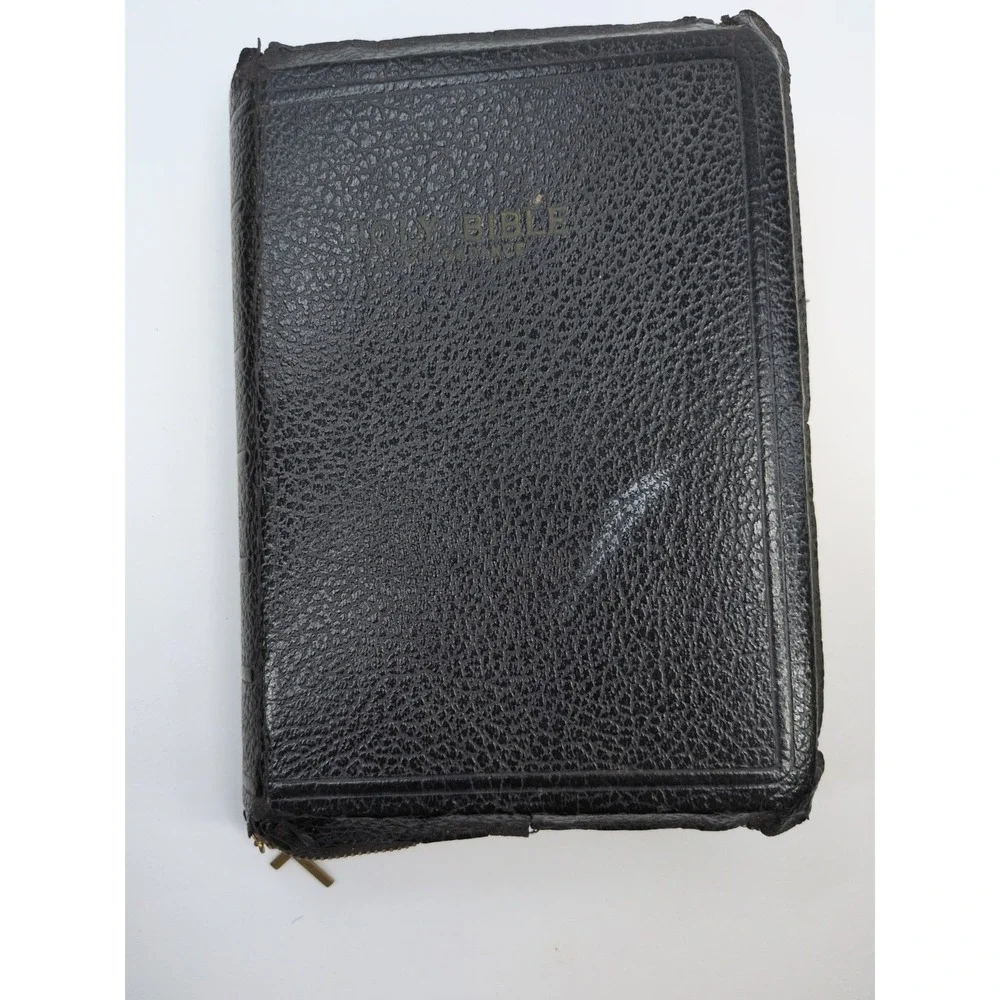VNTG LOT 2 NEED TLC🚨Holy Bible KJV World Publishing Co. Illustrated -NO WRITING